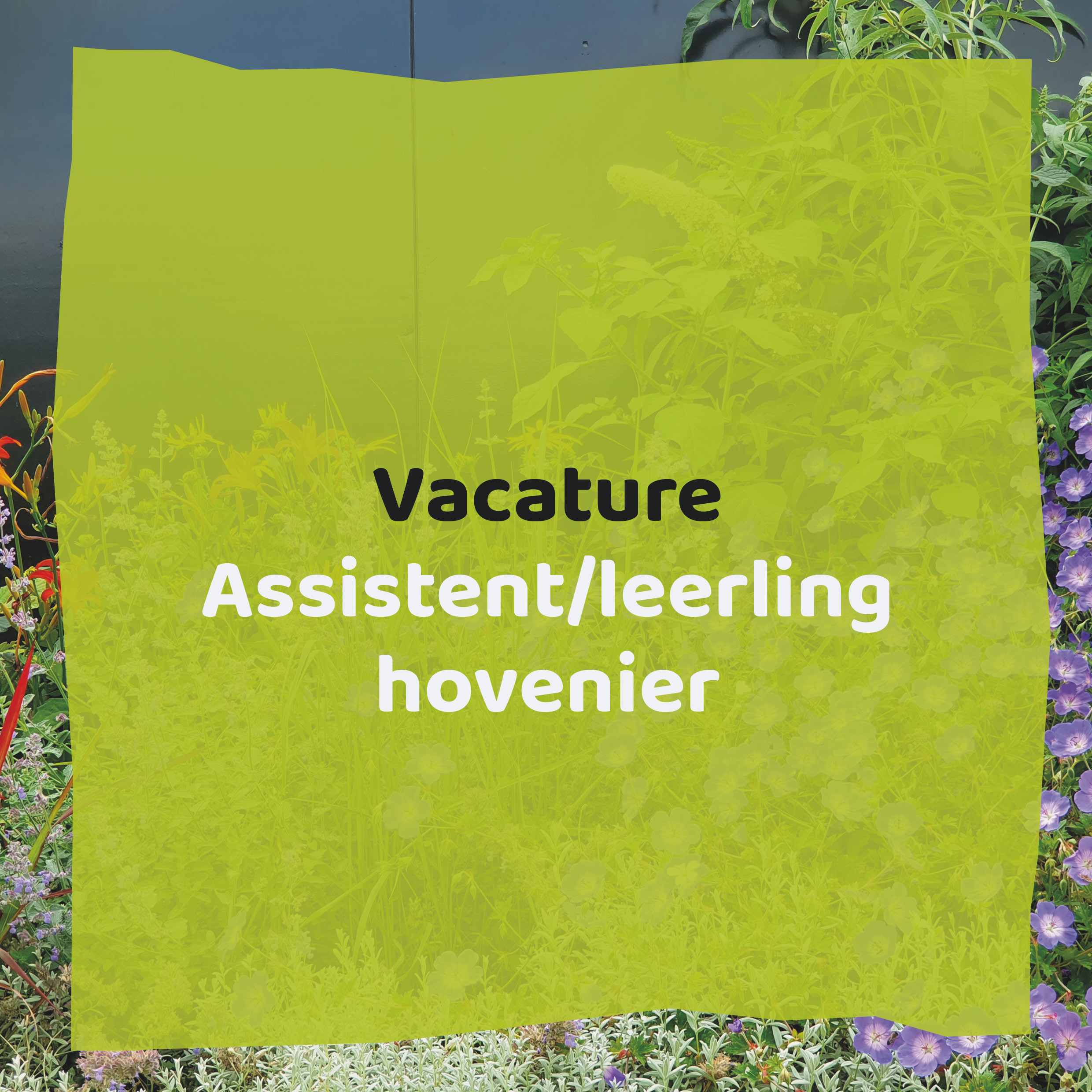 Vacature assistent / leerling hovenier